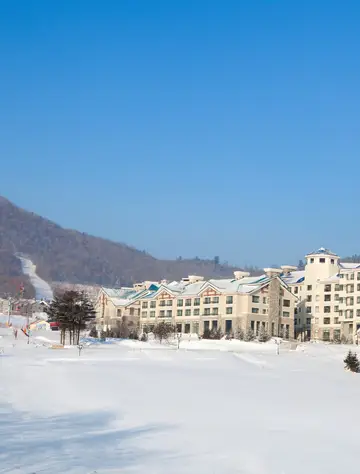 야불리