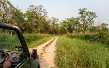 Parc de Chitwan : safari au cœur d’une nature préservée