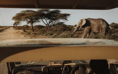 Safari dans une réserve privée préservée