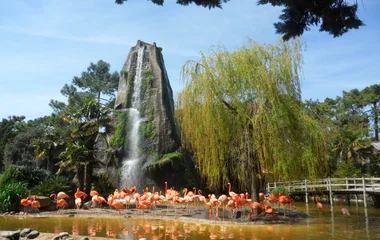 Zoo La Palmyre