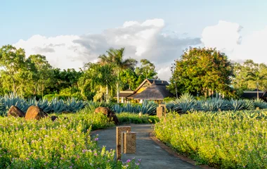 Club Med La Plantation d'Albion octubre Isla Mauricio primavera austral costa noroeste Índico