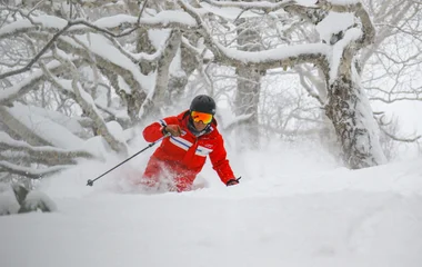 amis bataille boule de neige
