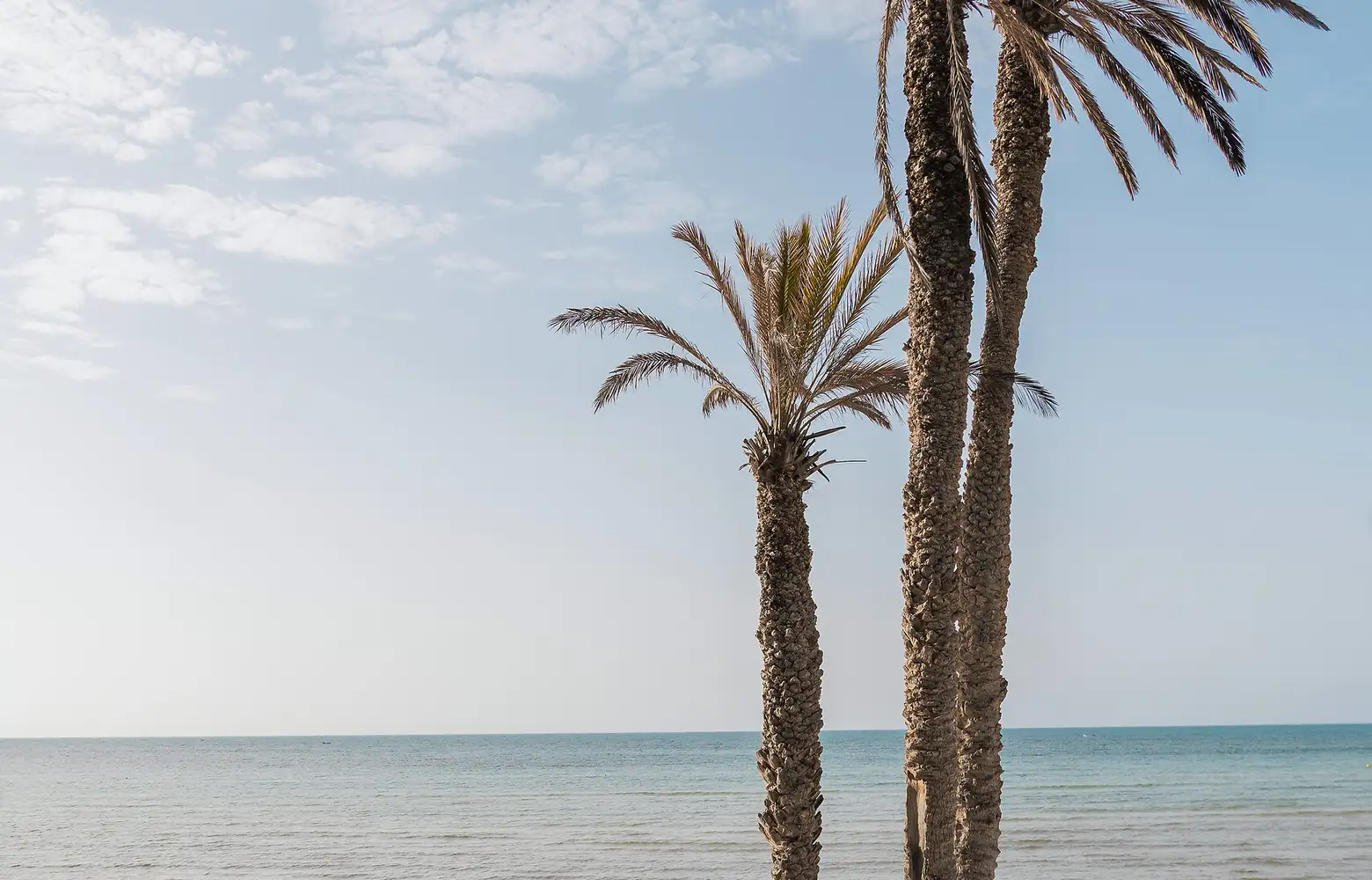 Club Med Djerba : voyage tout compris en Tunisie