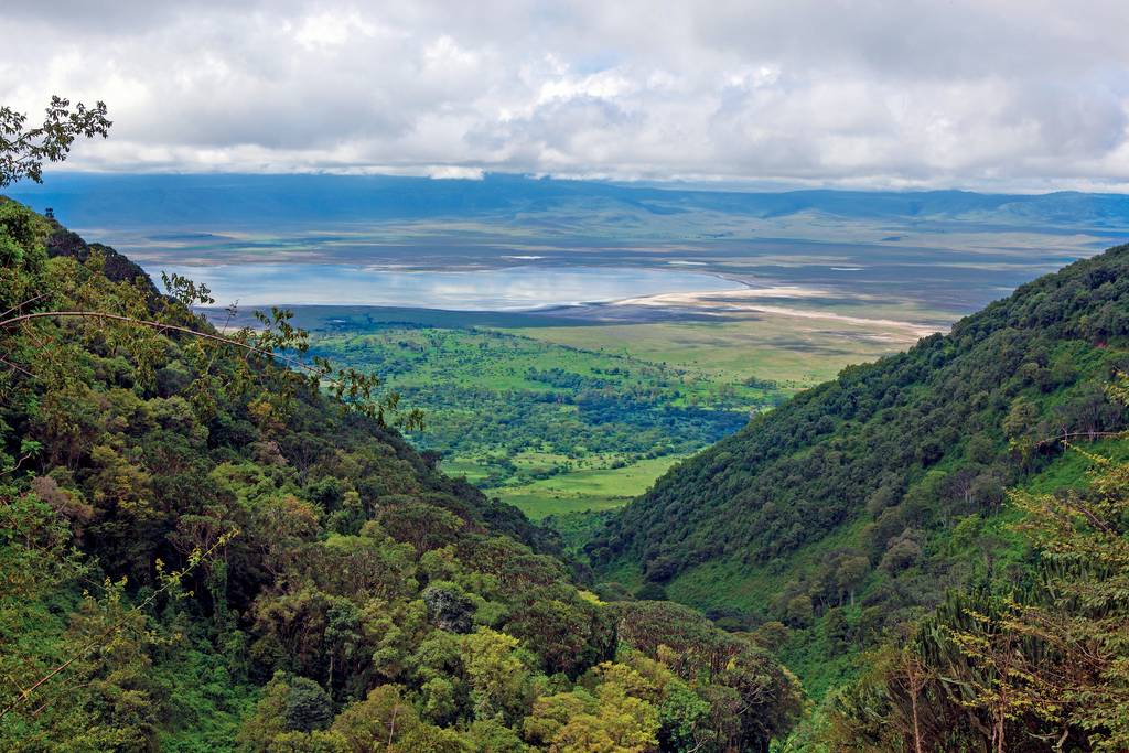 Les plaines de Tanzanie