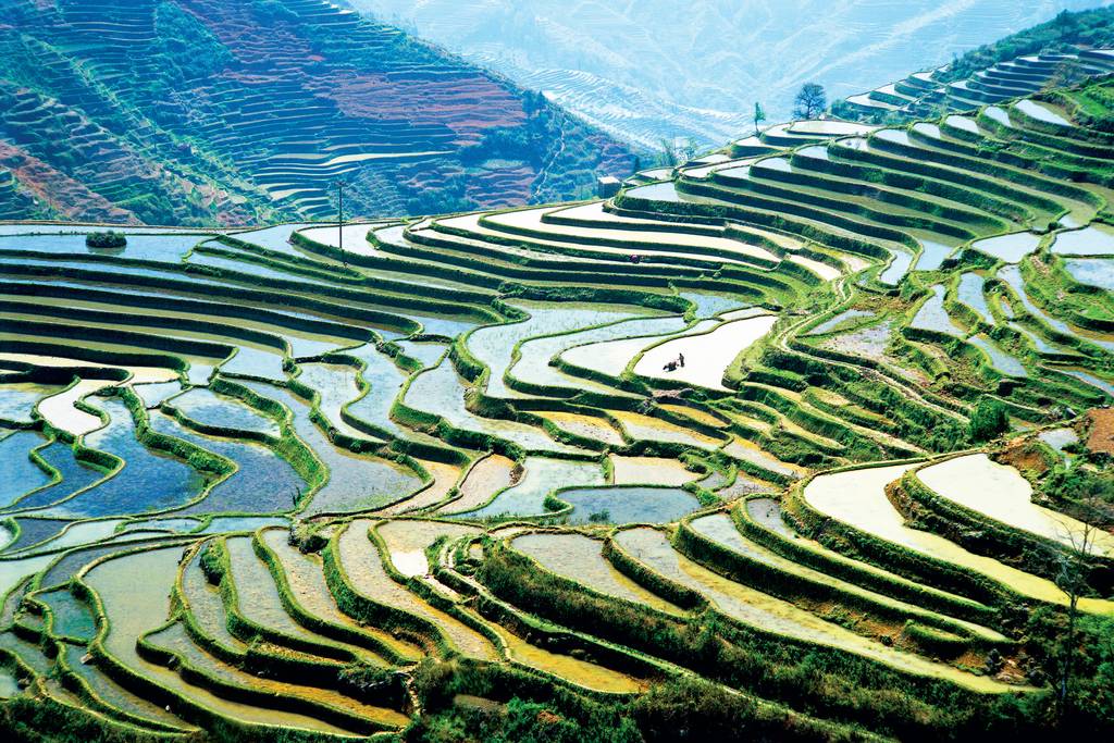 Yunnan et Shangri-La