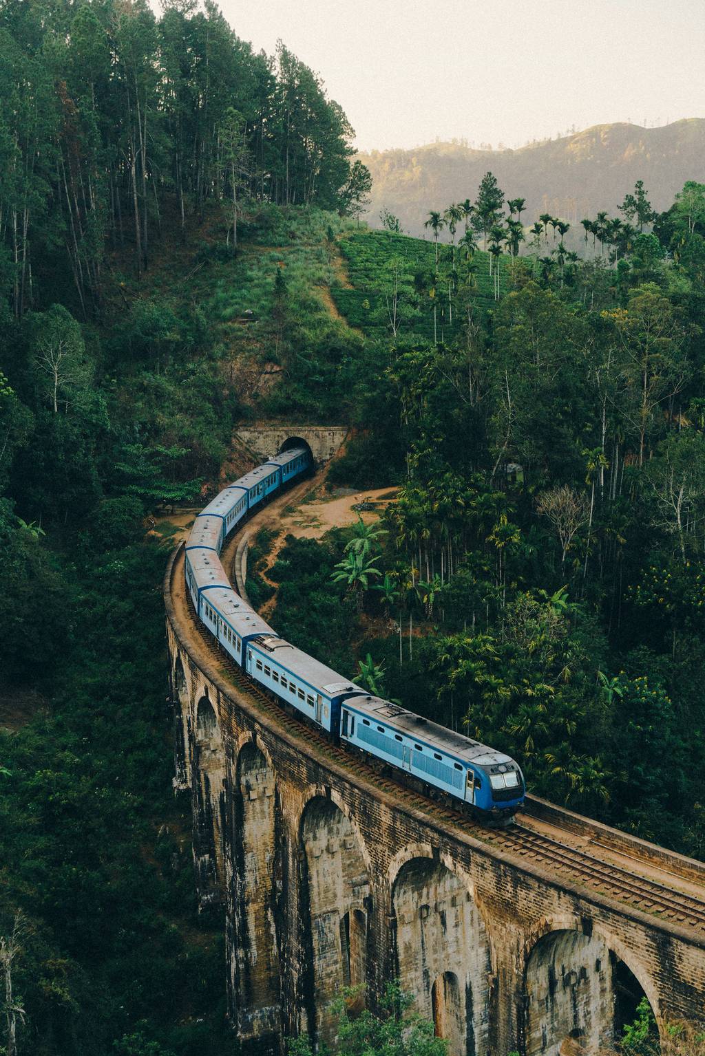 Escapade au Sri Lanka