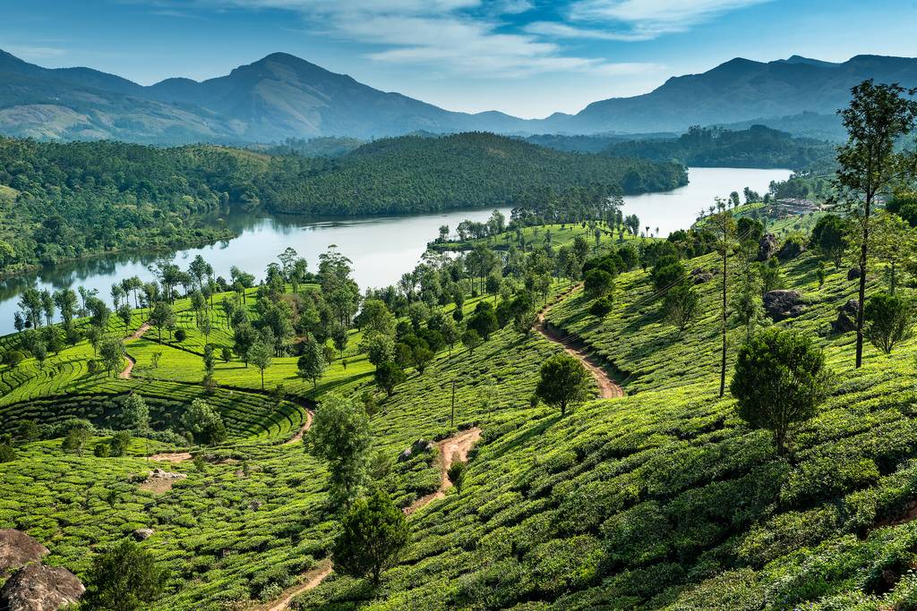 Grand sud indien