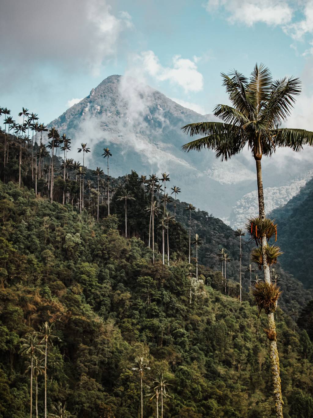 Holà Colombia