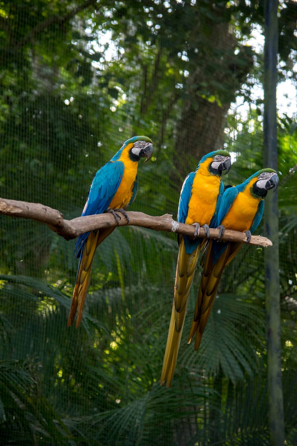 Escapade à Iguazù
