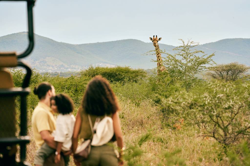 South Africa Beach and Safari