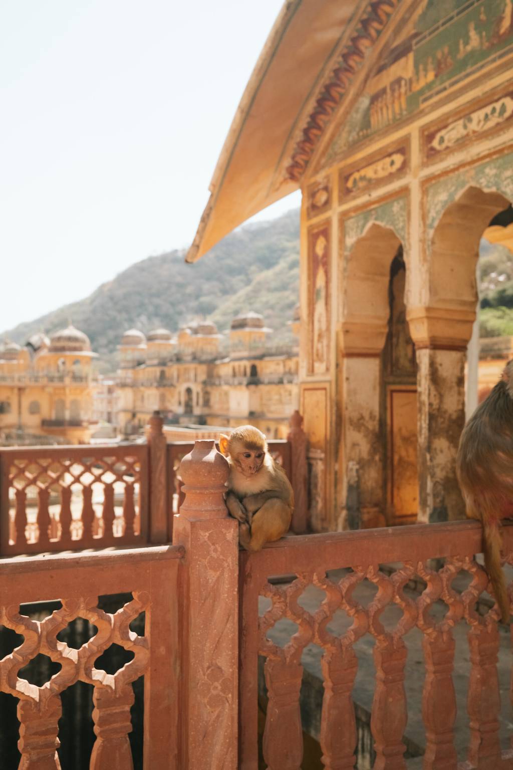Splendeurs du Rajasthan