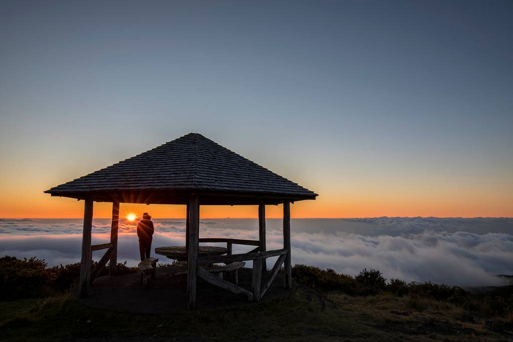 Au cœur de la Réunion