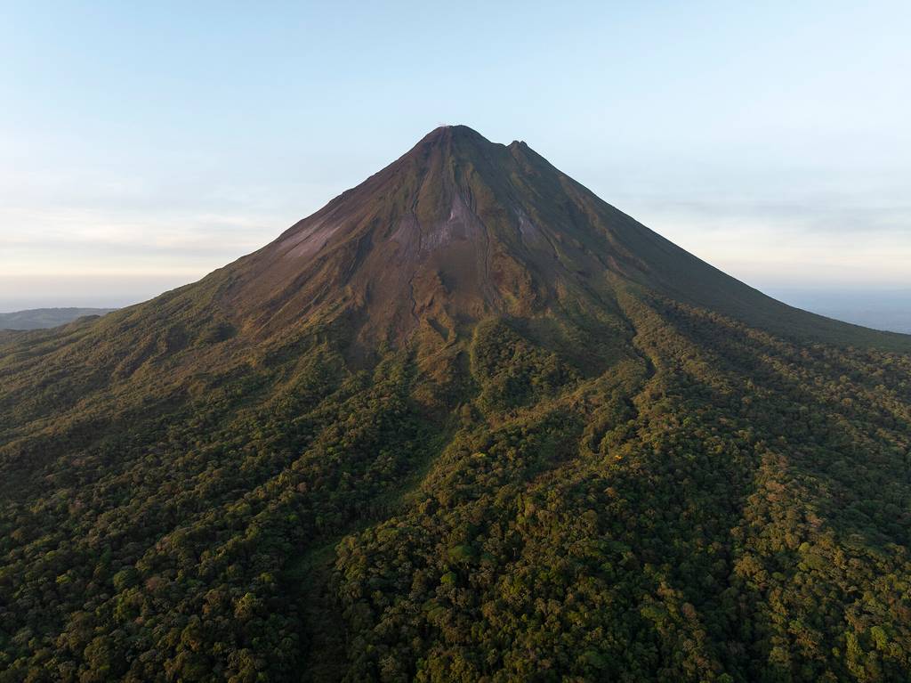 Natura verde