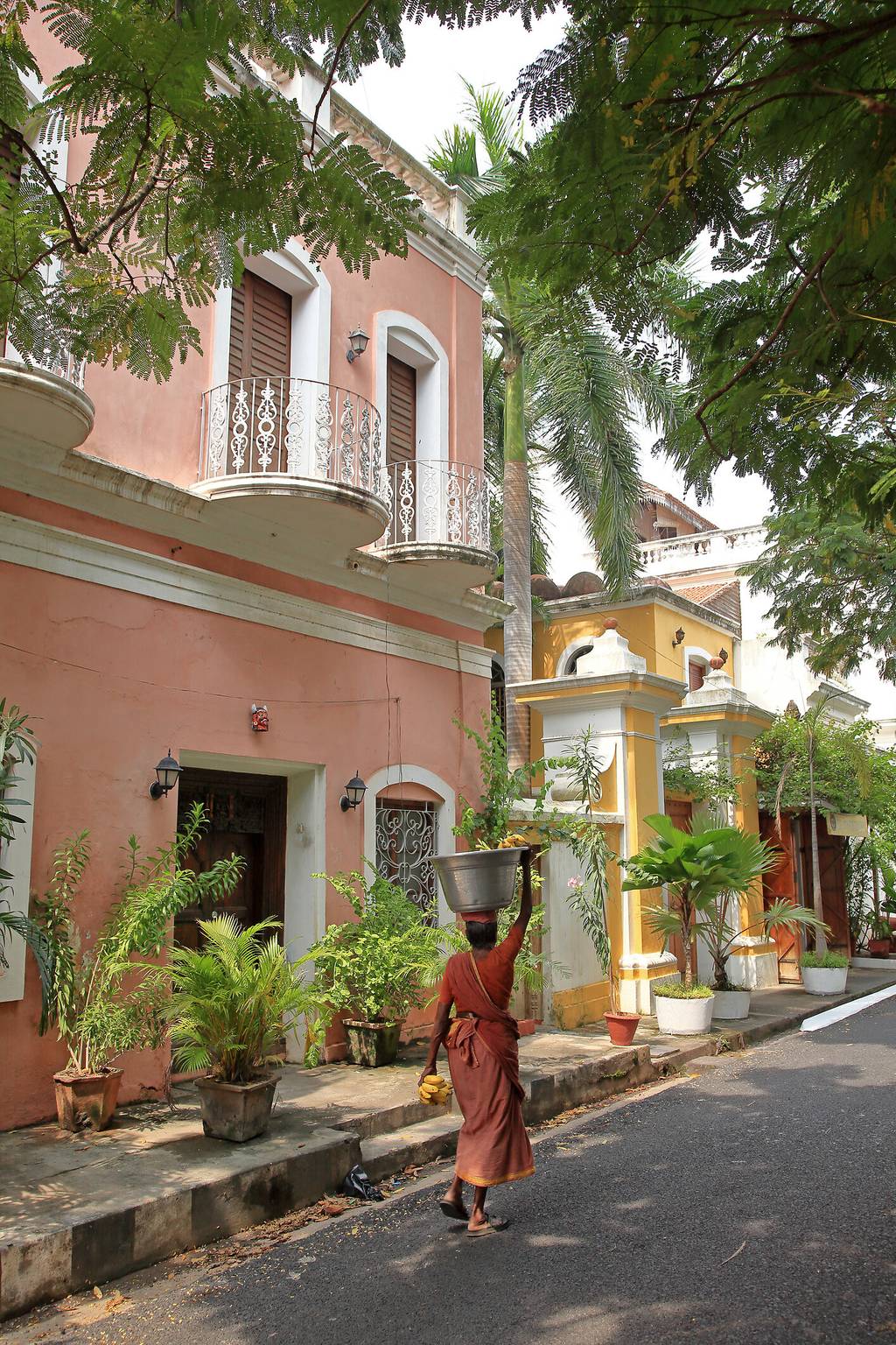 Grand sud indien